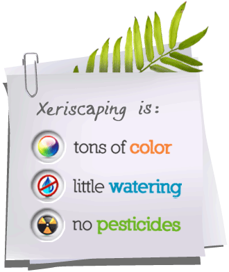 Xeriscaping is: Tons of color, little watering, no pesticides.